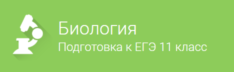 [Фоксфорд] Биология подготовка к ЕГЭ 11 класс_0.png